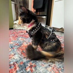 Metallicat Cat Vest